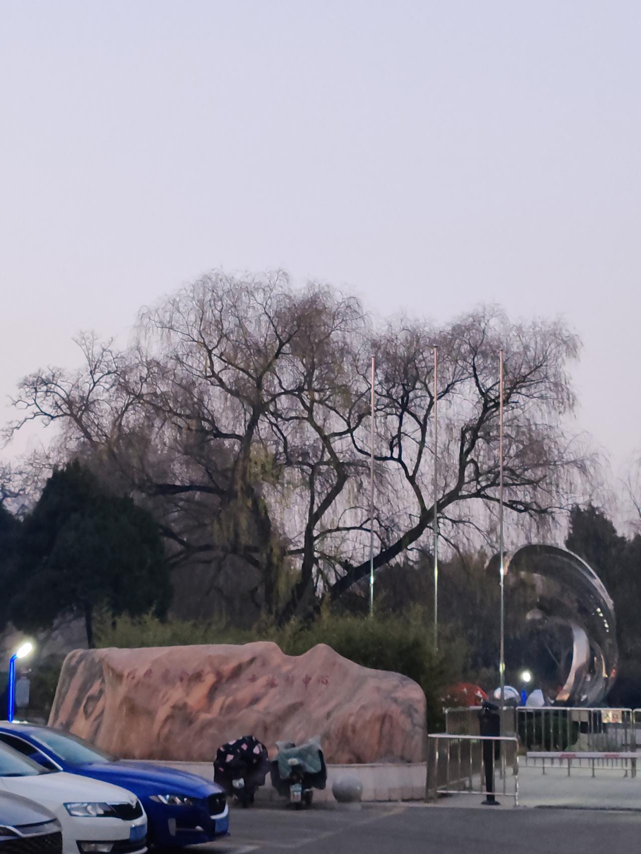 生活里，人的差异就像夜空中的繁星，各有各的光芒。我有个朋友就爱热闹，聚会一场接一