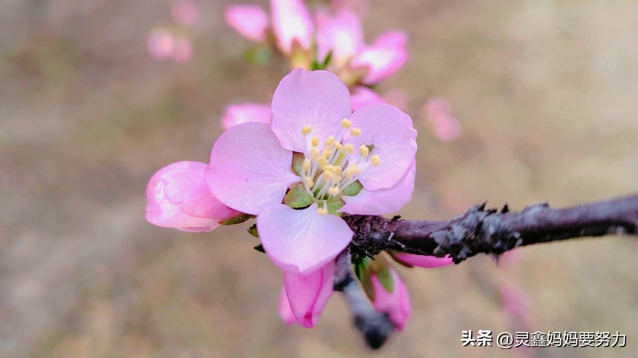 用50年的时间找到了初恋，应该走到一起吗？

生活中往往会有很多戏剧化的情况出现