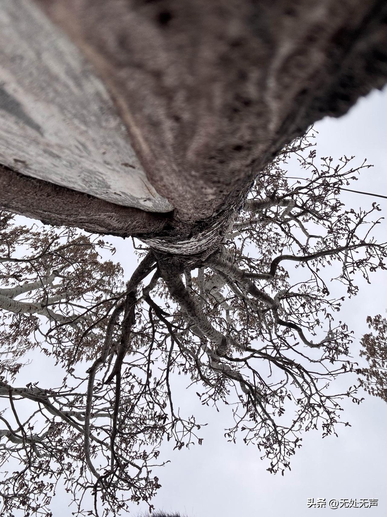 把自己当个“人”来对待，就是“真正爱自己”

身体上不凑合，困了就睡，饿了吃顿好