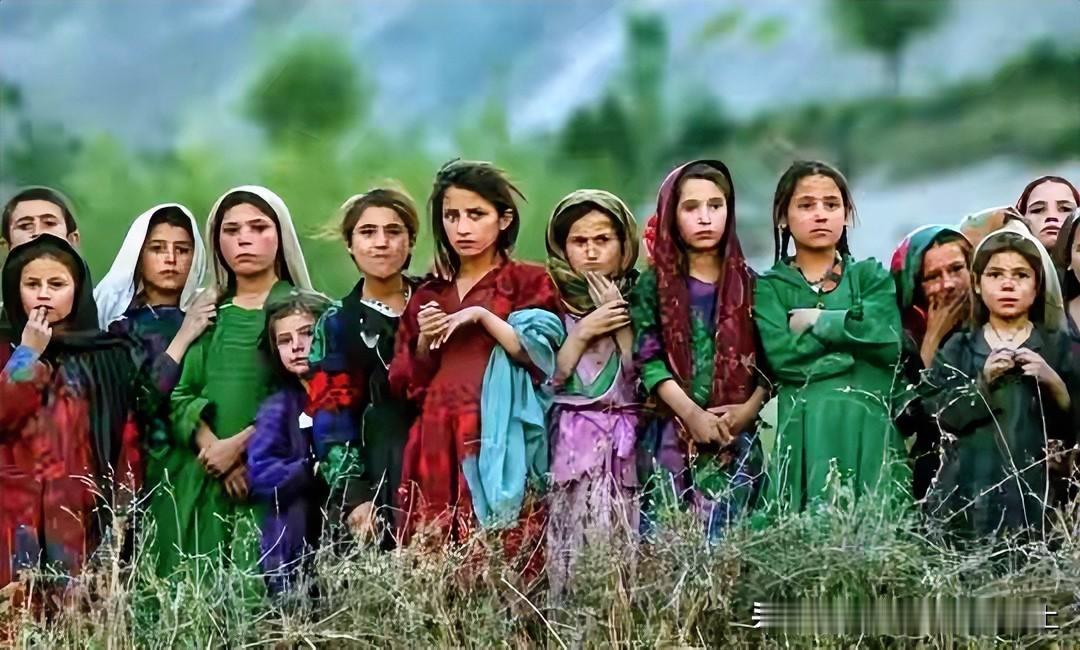 阿富汗的事情
整整20年
学习了西方先进的经验和体制
结果呢？
被一群从山里杀出