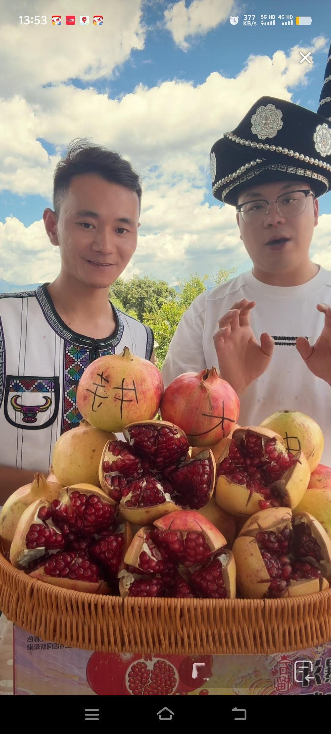 厉怀远这哥俩在四川卖软籽石榴，实体店的生意不知如何，但是能在新鲜当季水果上市的季