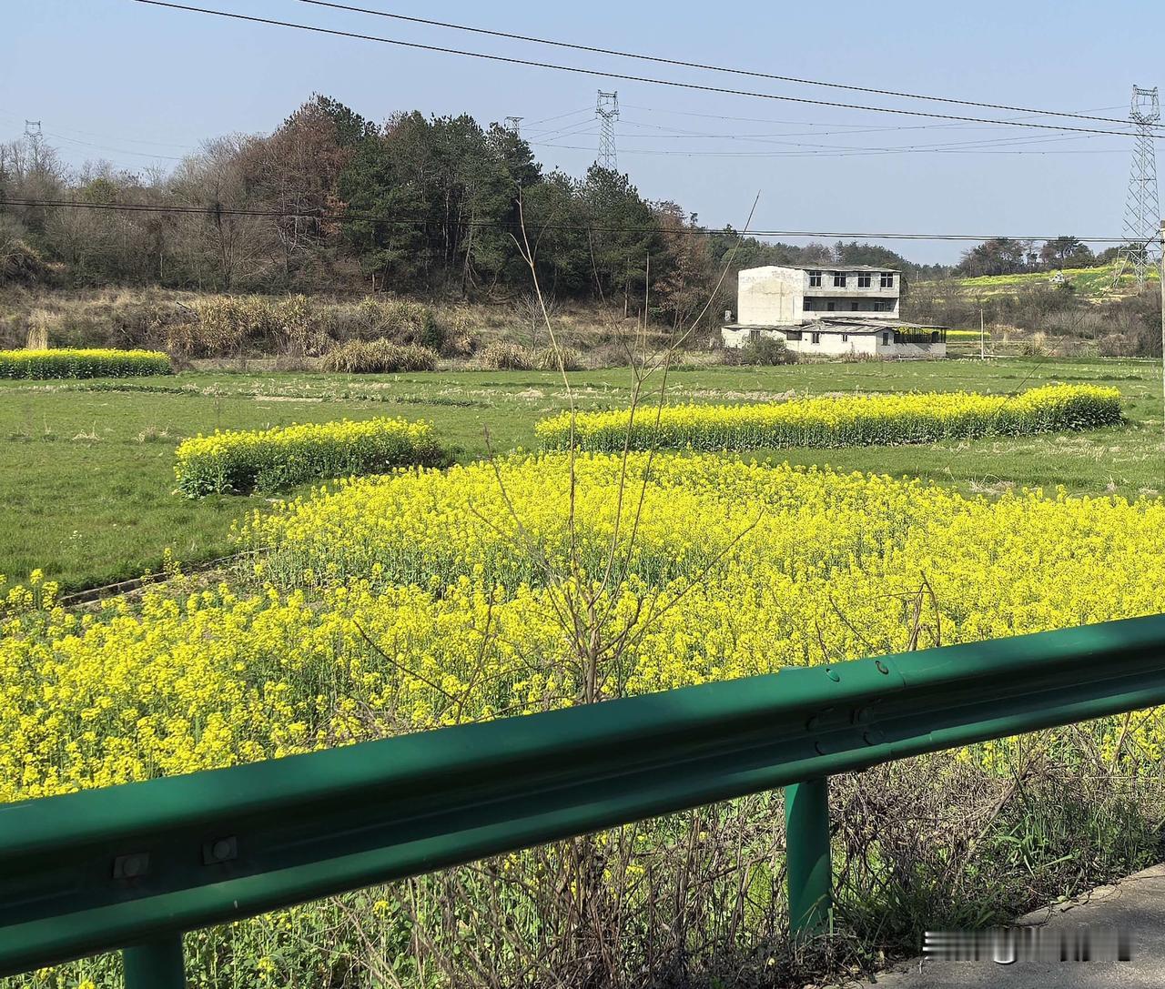 儿子昨天去广州参加事业编考试，说很简单，就看报考的500个人谁的运气好。他在广州
