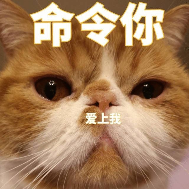 今天我单方面命令所有互关按时收看乘风2026，欣赏刘雨昕的miss lady世界
