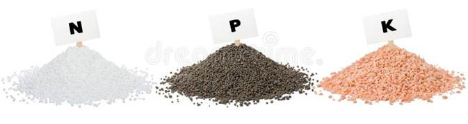 全球化肥危机科普战争最大的关注是石油价格，已经到每桶110美元以上了。但如果只是