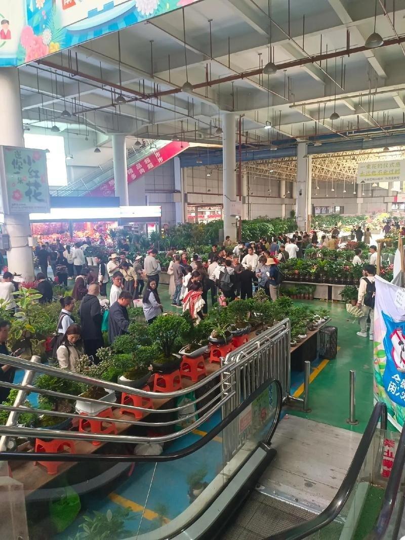 我不确定上面是否已经看清眼下整个亚洲的资本市场局面，他们是否意识到，美国可能正推