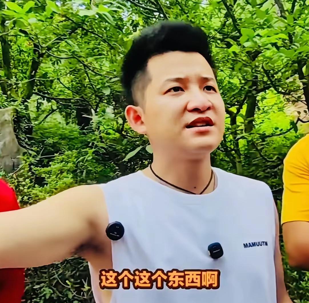 前有柴怼怼，后有陈怼怼。只不过陈怼怼是打击高价彩礼的奥特曼！

在当下婚恋市场的