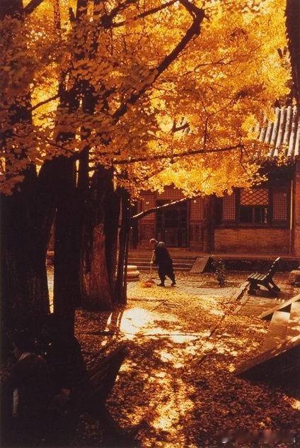 1957年，北京西山，寺庙 