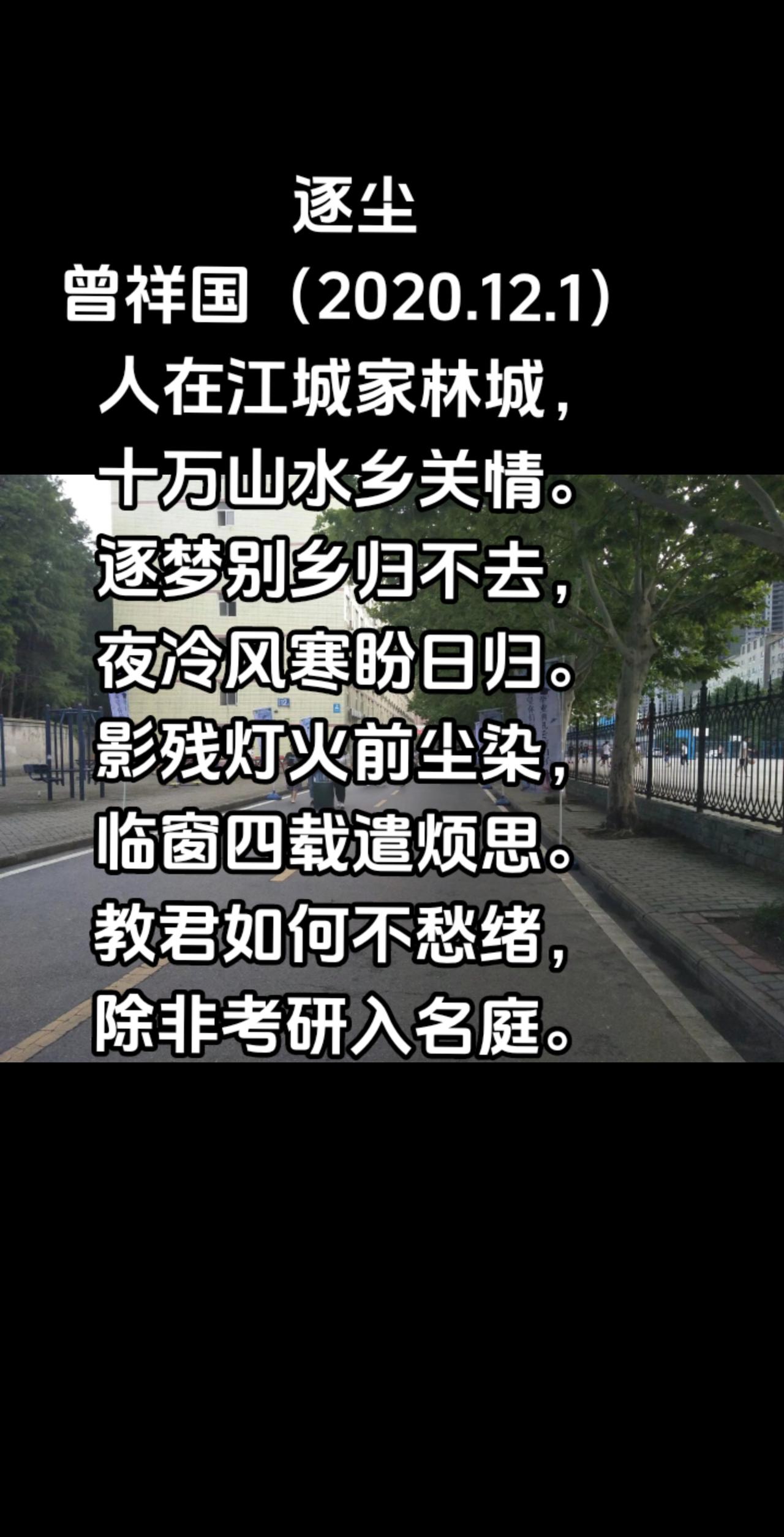 逐尘