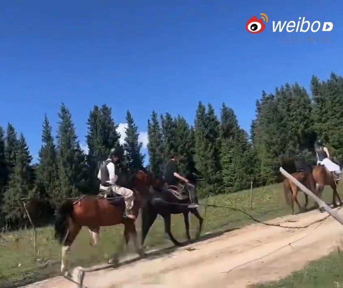 李宇春辛芷蕾骑马神错位以为李宇春辛芷蕾骑一匹马 李宇春辛芷蕾骑马神图诞生！错位到