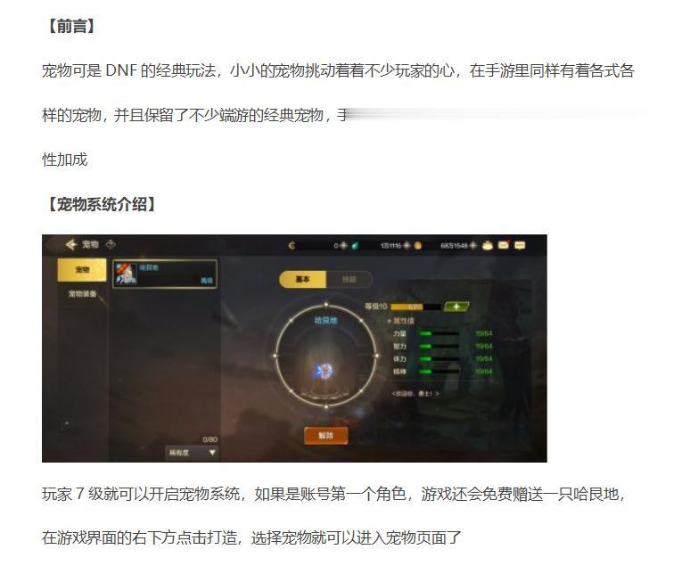DNF手游：宠物系统提升如何？宠物全面指南！