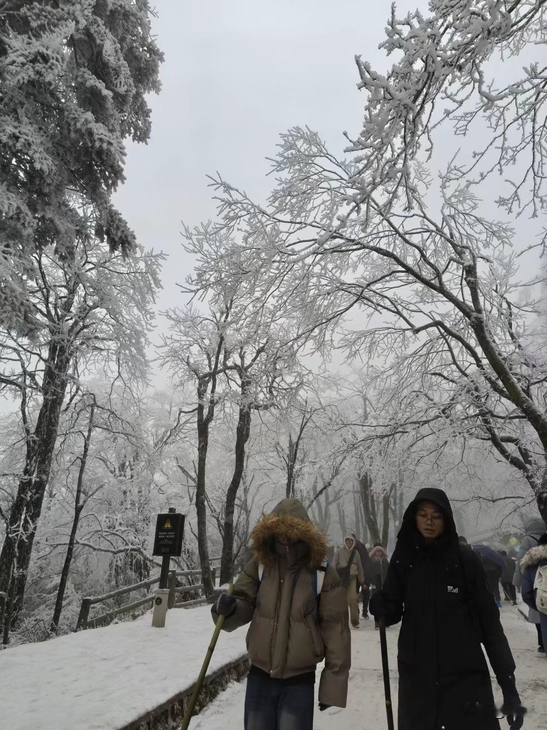 终于亲身感受峨眉山高海拔的冬日雪景，站在三千四百多米的山道上，心里感慨万千。对于