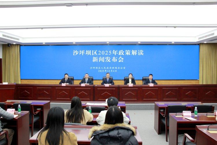 事关养老、就业、医疗等 重庆市沙坪坝区多部门解读多项政策