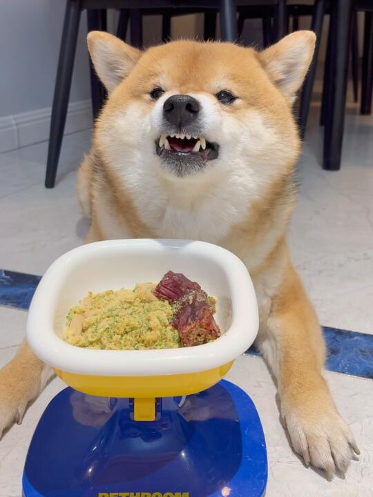 怎么还吃急眼了！