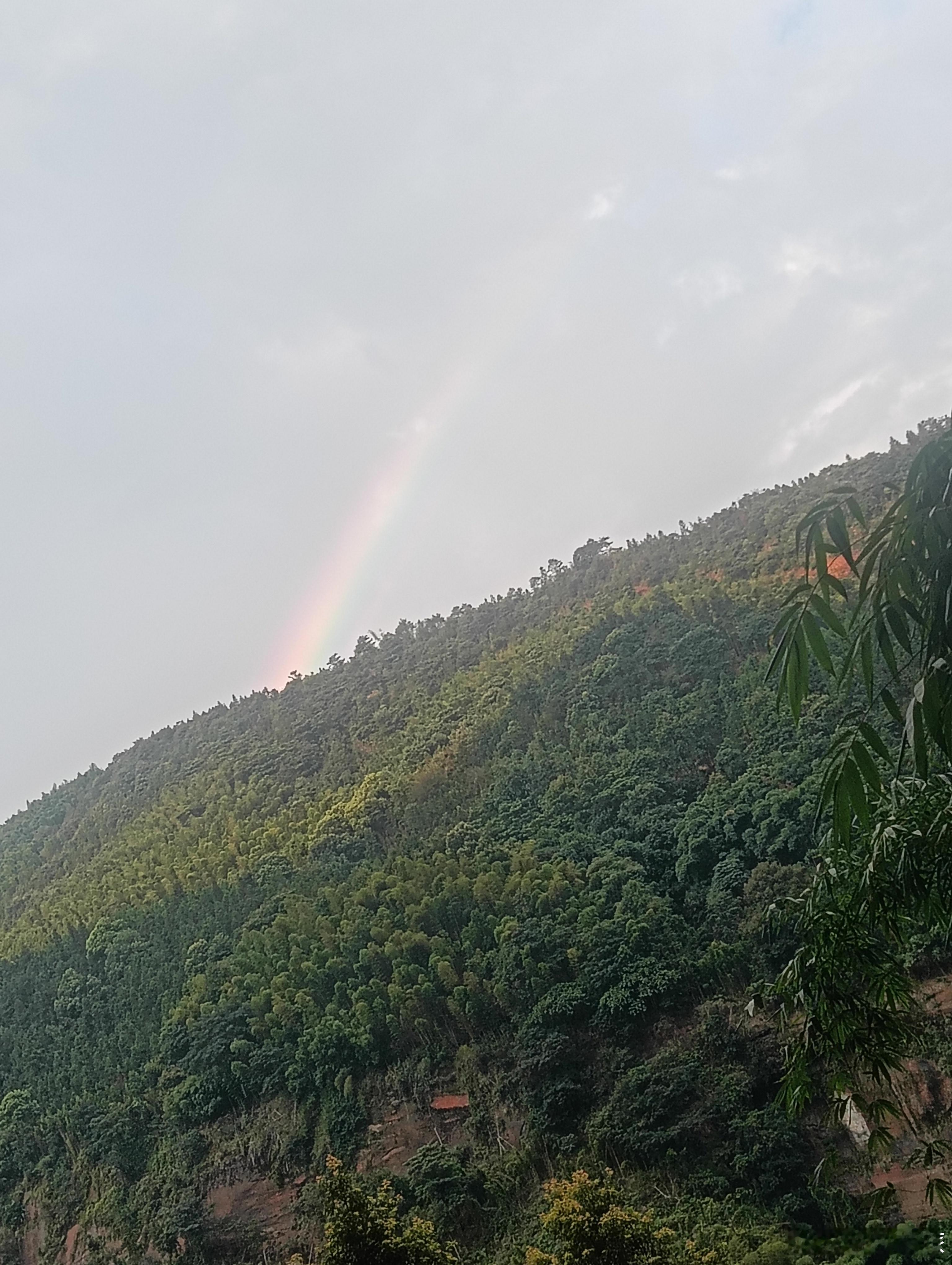 泸州情感语录 大山里面雨后出彩虹，难得一见，分享这份吉祥。 泸州