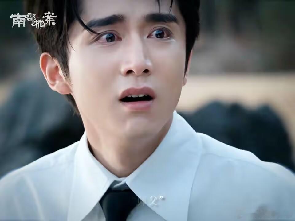 剧集南部档案肉眼可见的的委屈 张新成好会演