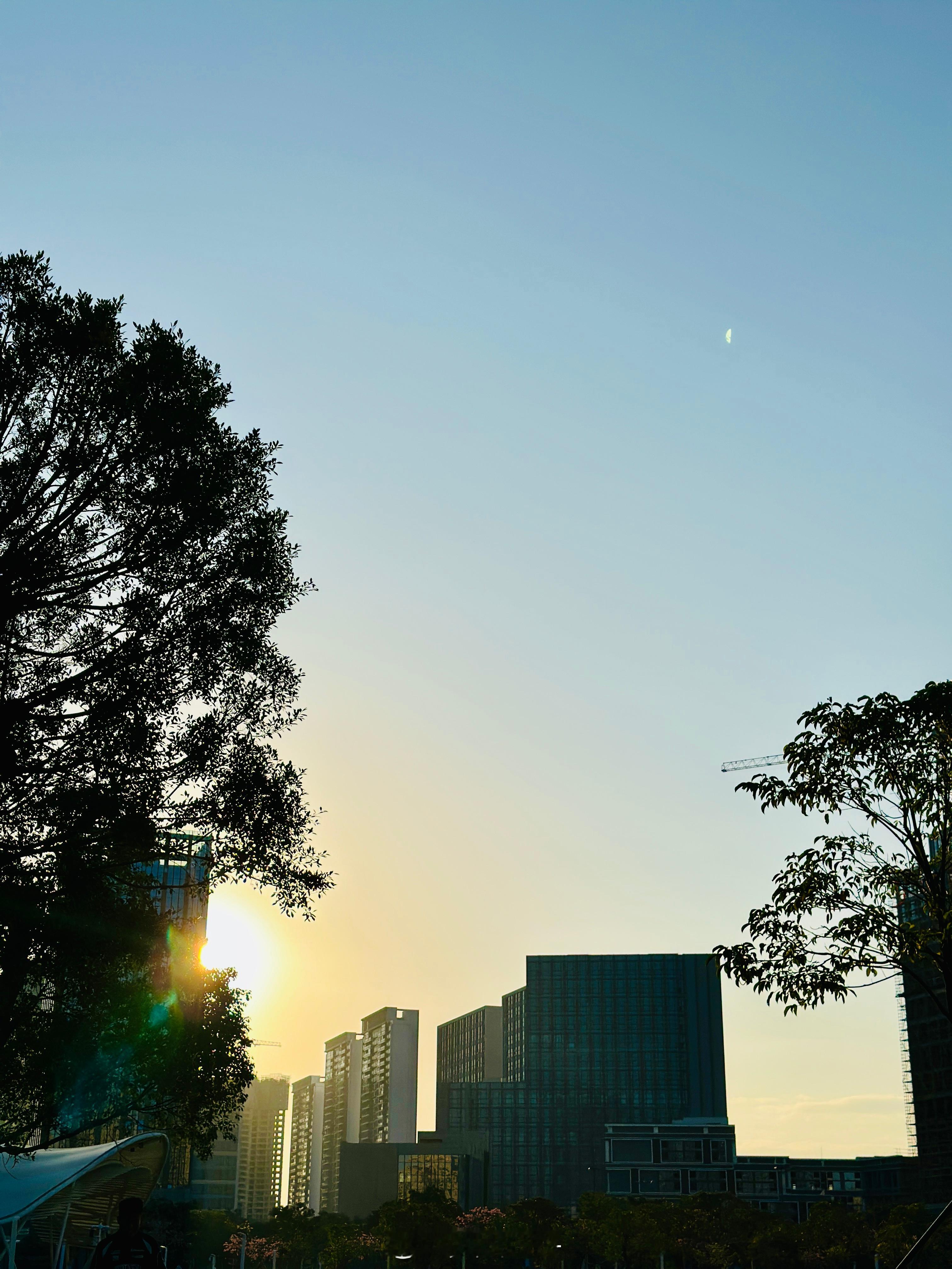 肉丸日记📔 假期晒太阳好舒服～ 