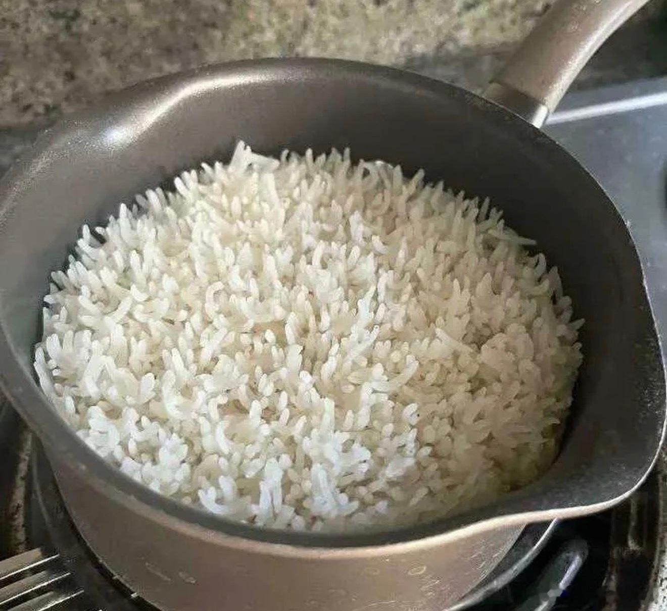 我老公给我蒸的米饭，每一粒都蒸蒸日上 