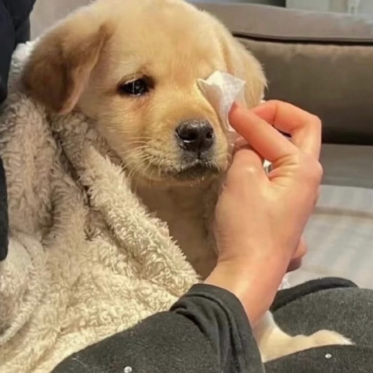 🐶💦 