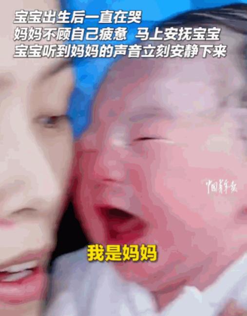 母子连心！山东东营，一刚出生的孩子哭得撕心裂肺，全家上阵都束手无策，在听到妈妈俯