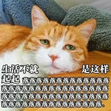 薄荷谈谈科技