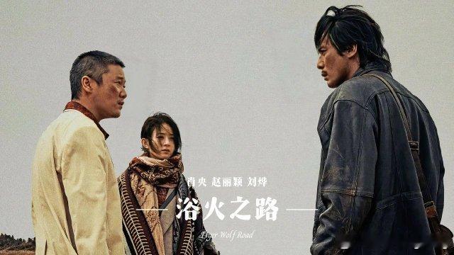 看了网上一些介绍，《浴火之路》是一部爱情片吗？电影名字起的挺高大尚！ ​​​