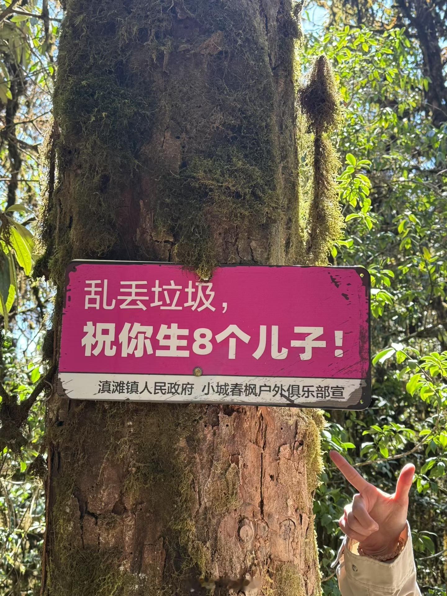 那些比“爱护花草人人有责”更管用的标语