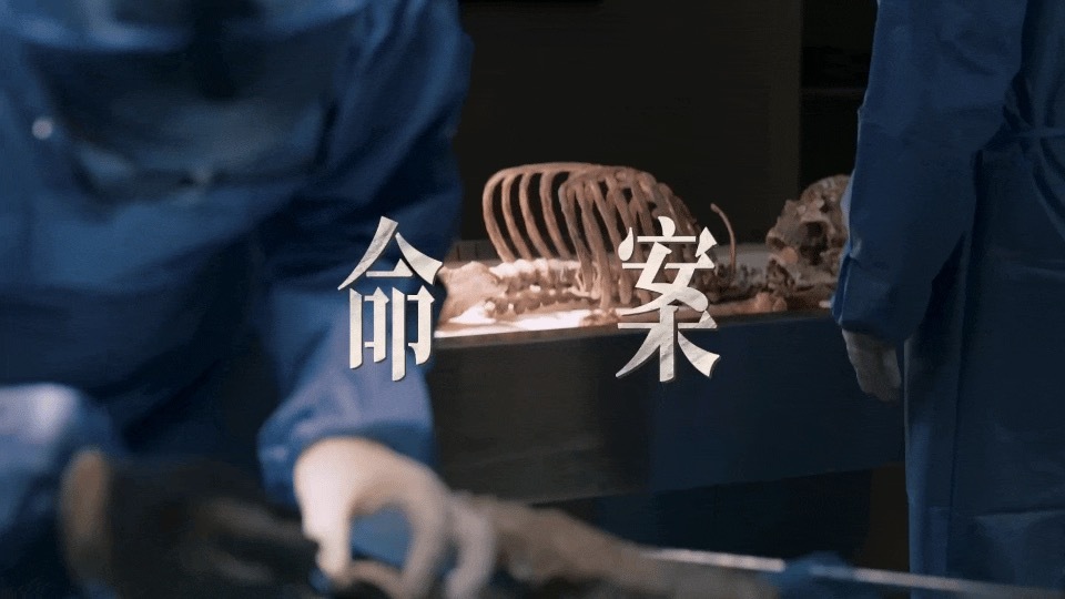 倪妮新剧尺度 谁懂！！打开新剧《隐身的名字》预告，文艺感和悬疑感交织扑面而来，几