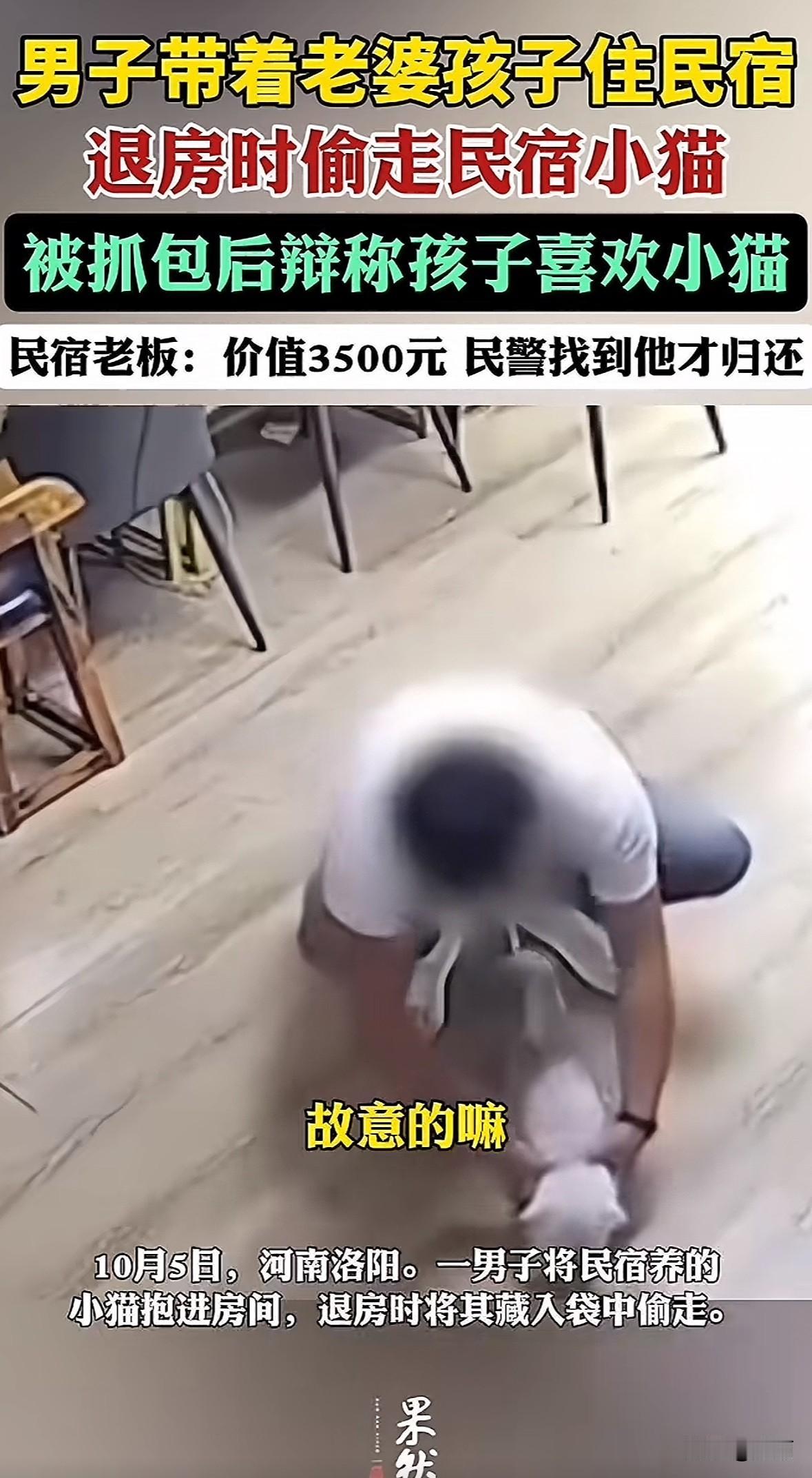 河南洛阳，一男子带老婆孩子住民宿。他把民宿的小猫抱进房间，退房时藏进袋子偷走。民