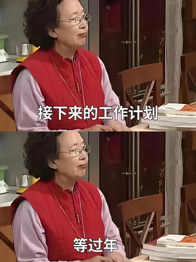 距离2027年除夕还有100天一晃眼，离除夕就只剩一百天了，这一年忙忙碌碌，好像