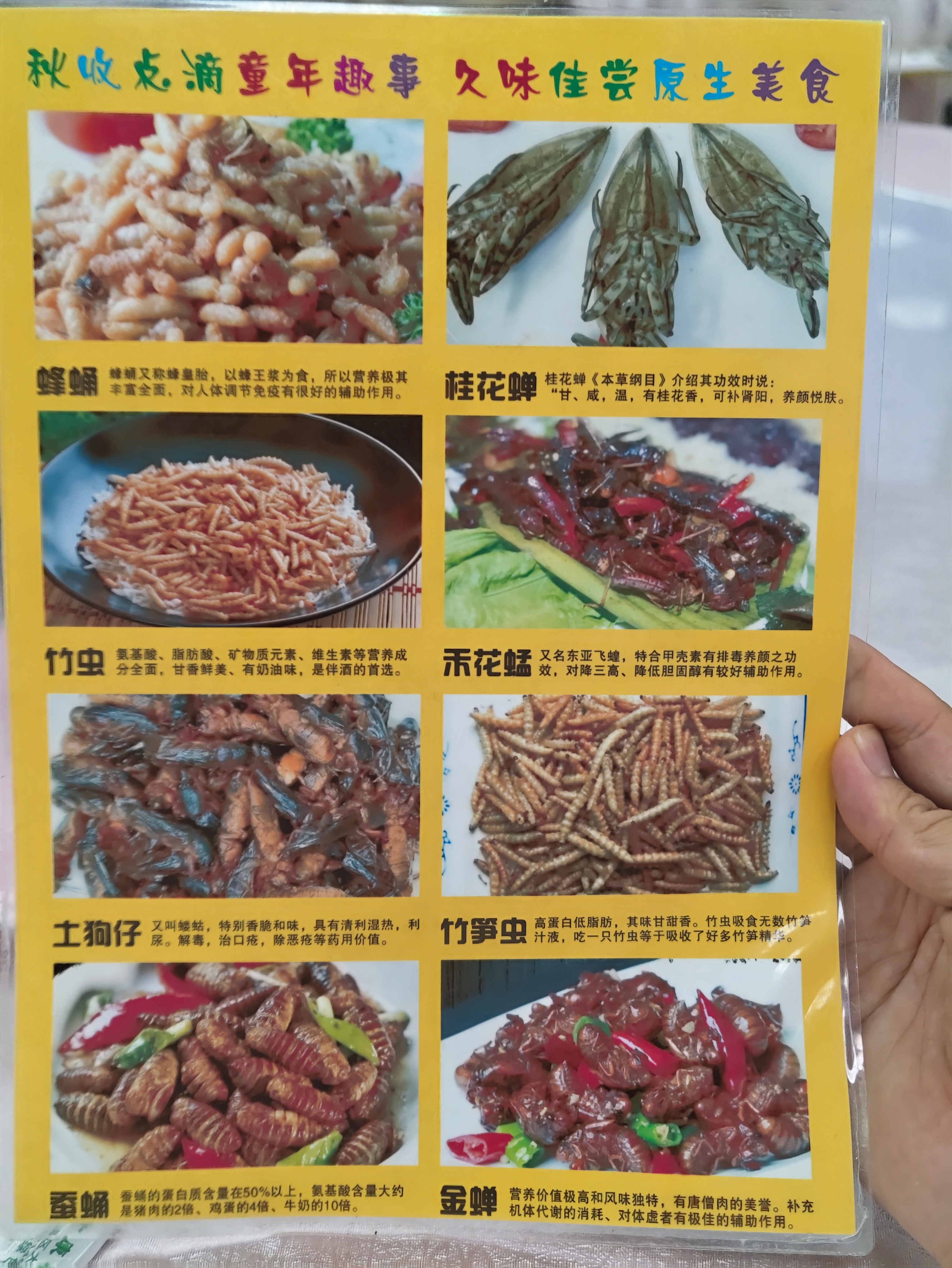 朋友推荐了一家餐厅，说贼火，我来了一看，tmd我一道菜都吃不了……… 广州
