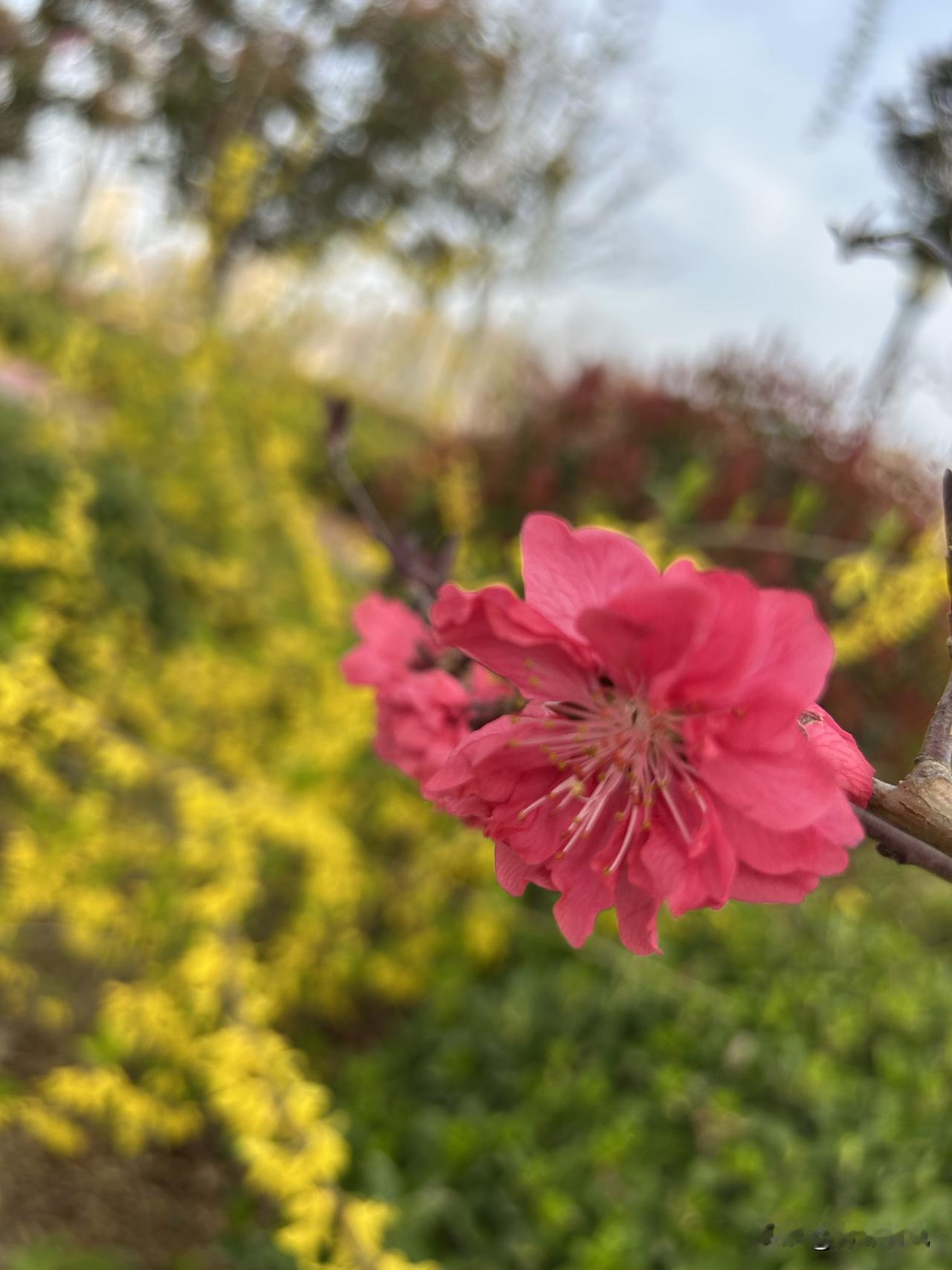 身家上亿却守着糟糠妻，这才是男人最难得的担当

身边一位亲戚的事，每次想起来都特