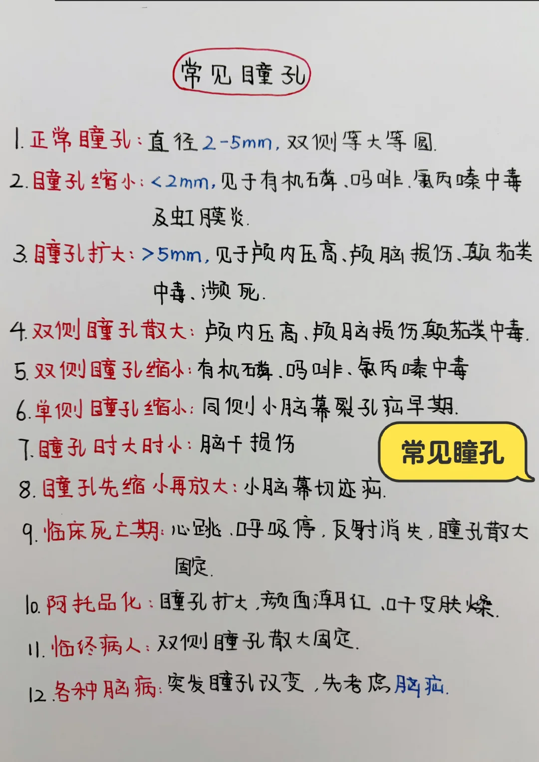 今日学习打卡——常见瞳孔