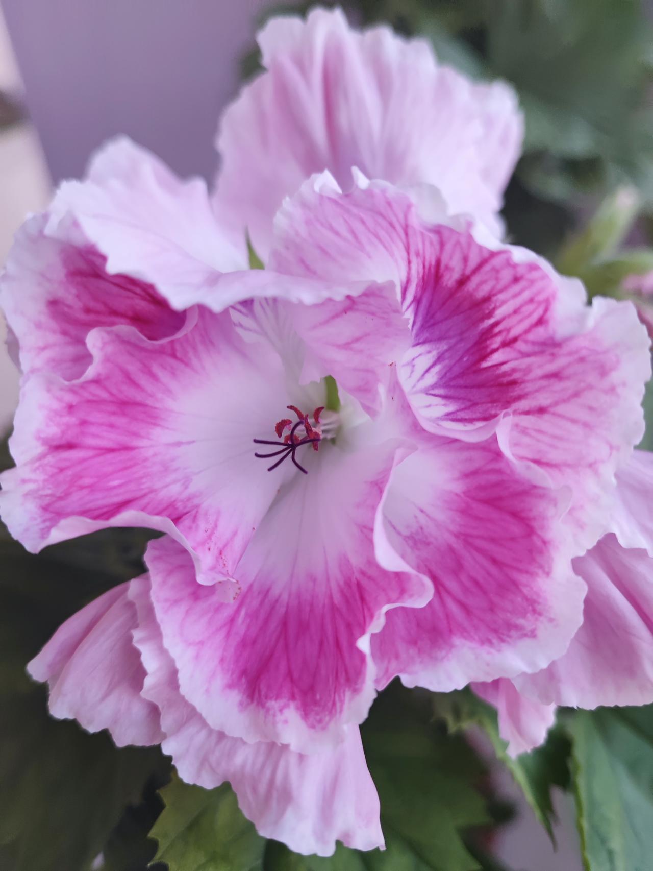 有病别耽误
朋友眼睛充血很严重，
找熟悉的眼科大夫问问，
熟人也是为了给省点钱吧