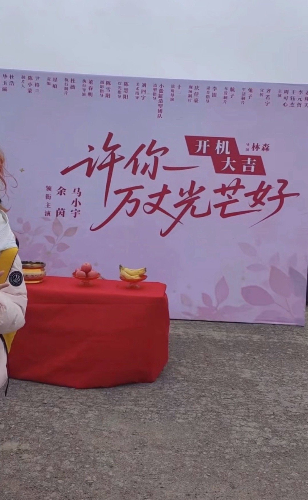 余茵 马小宇 拍的是许你万丈光芒好！ 没错陆霆骁和宁夕那本！  