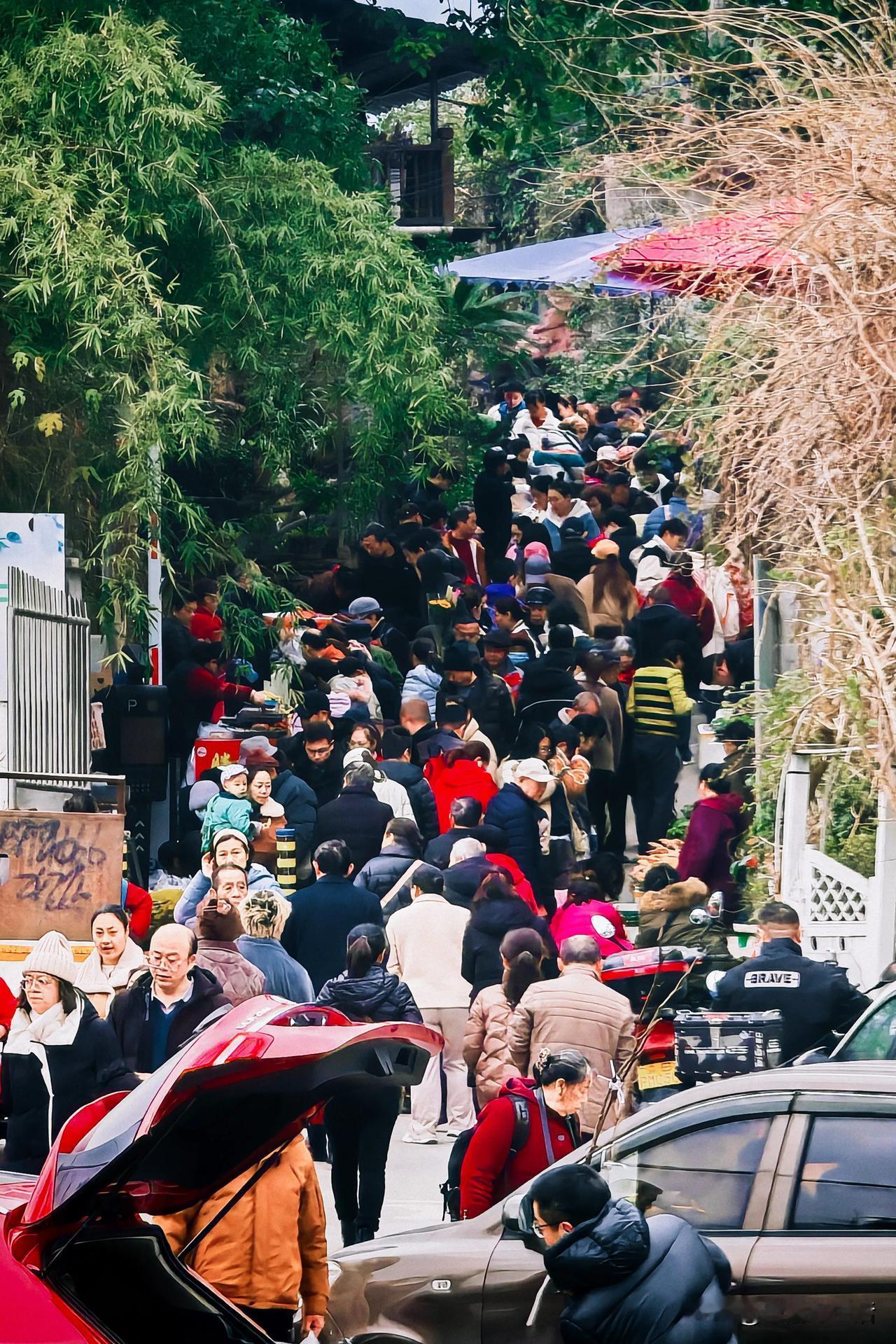 周末的北碚城南花市，简直是个宝藏地！从早上七八点开始，一直到中午十二点，人潮涌动