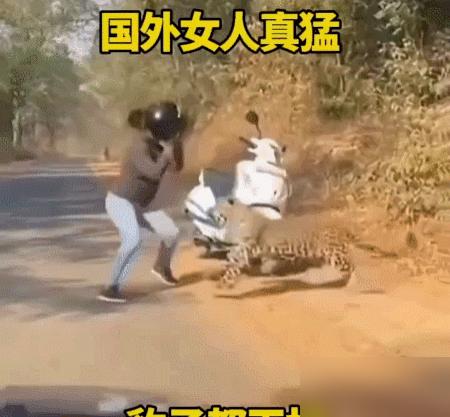 女子野外与豹子激战，让人没想到的是，才几回合，把豹子打跑了。

说真的我之前刷野