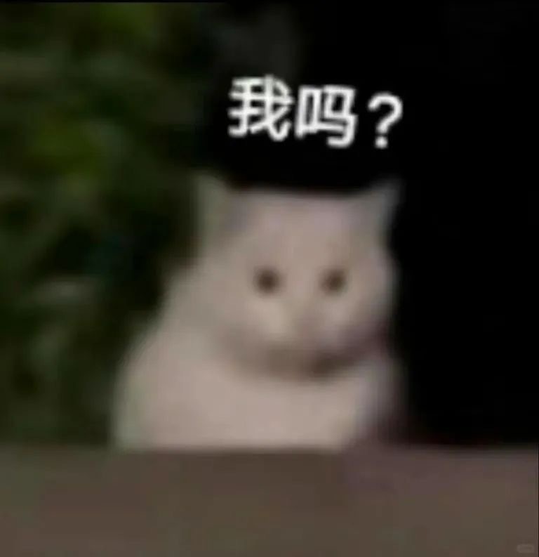 一些偷感贼重的表情包 ​​​