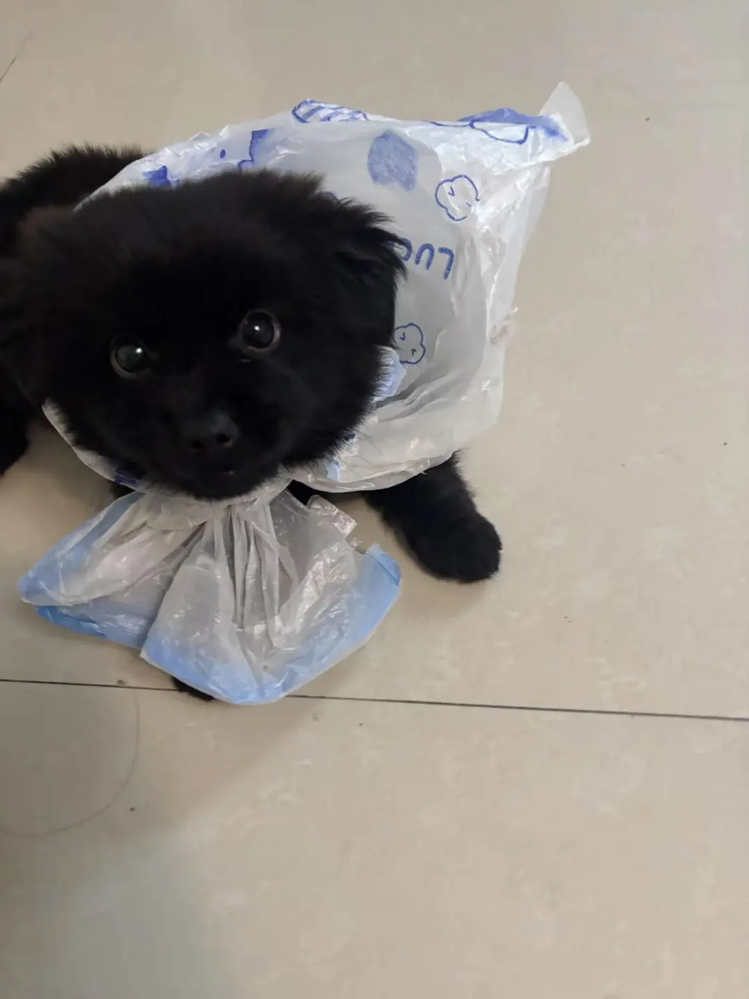 人，买不买垃圾袋 不买萌死你哦！