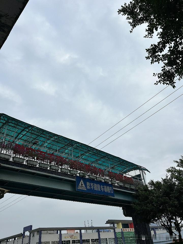 可替代性！

这个词语相信也是很多我们国内的打工人最害怕听到一个词语，

被老板