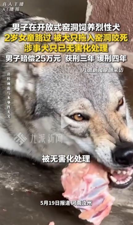 河南汝州48岁货车司机毛某义在自家窑洞里饲养了一只烈性捷克狼犬，平日里凶名在外，