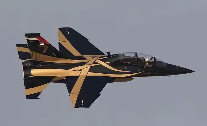 阿联酋骑士飞行表演队（L15教练机）一起看飞机