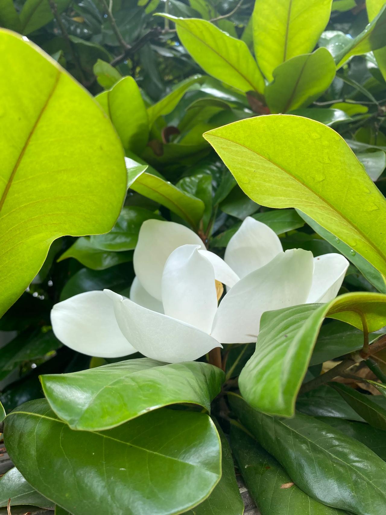 在公司楼下看书，被同事遇到，好像也没有什么不好意思的。

这几天我都是坐公交车上