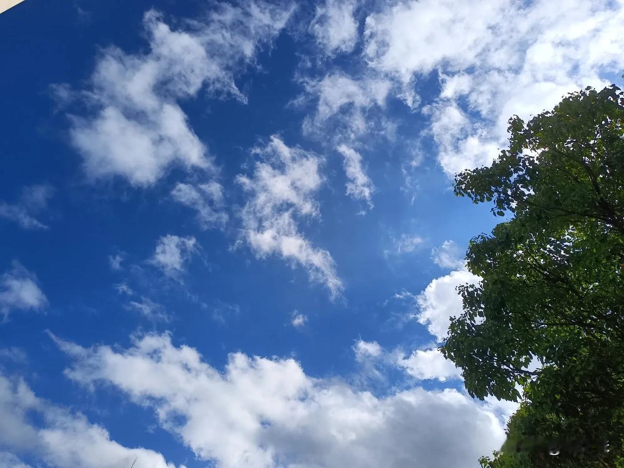 天好蓝