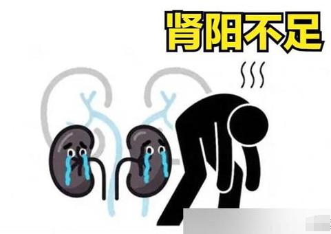 🌿脾胃好，阳气生🍽️

想要阳气满满？先从脾胃抓起！脾胃是咱们的营养加工厂，