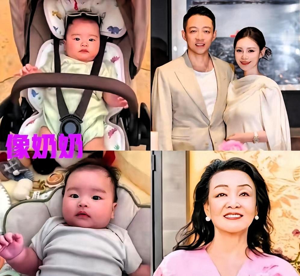 马筱梅日常晒出儿子汪吉辰的居家日常与出行画面，这个三个多月的小家伙白白胖胖，圆润