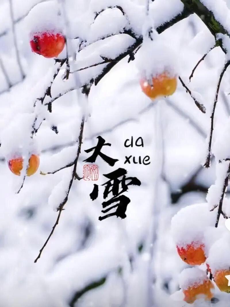 【今日大雪】 二十四节气  “小雪封地，大雪封河”，碎碎坠琼芳，大雪落下时；天地