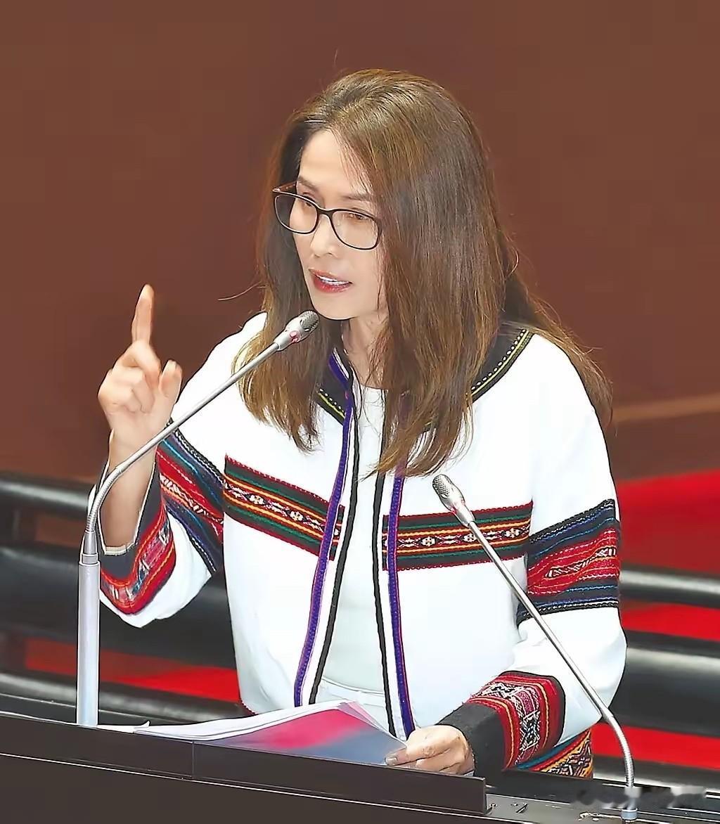 岛内无党籍立委高金素梅在这起军购预算草案审议过程中的表现让人非常佩服，在这些立法