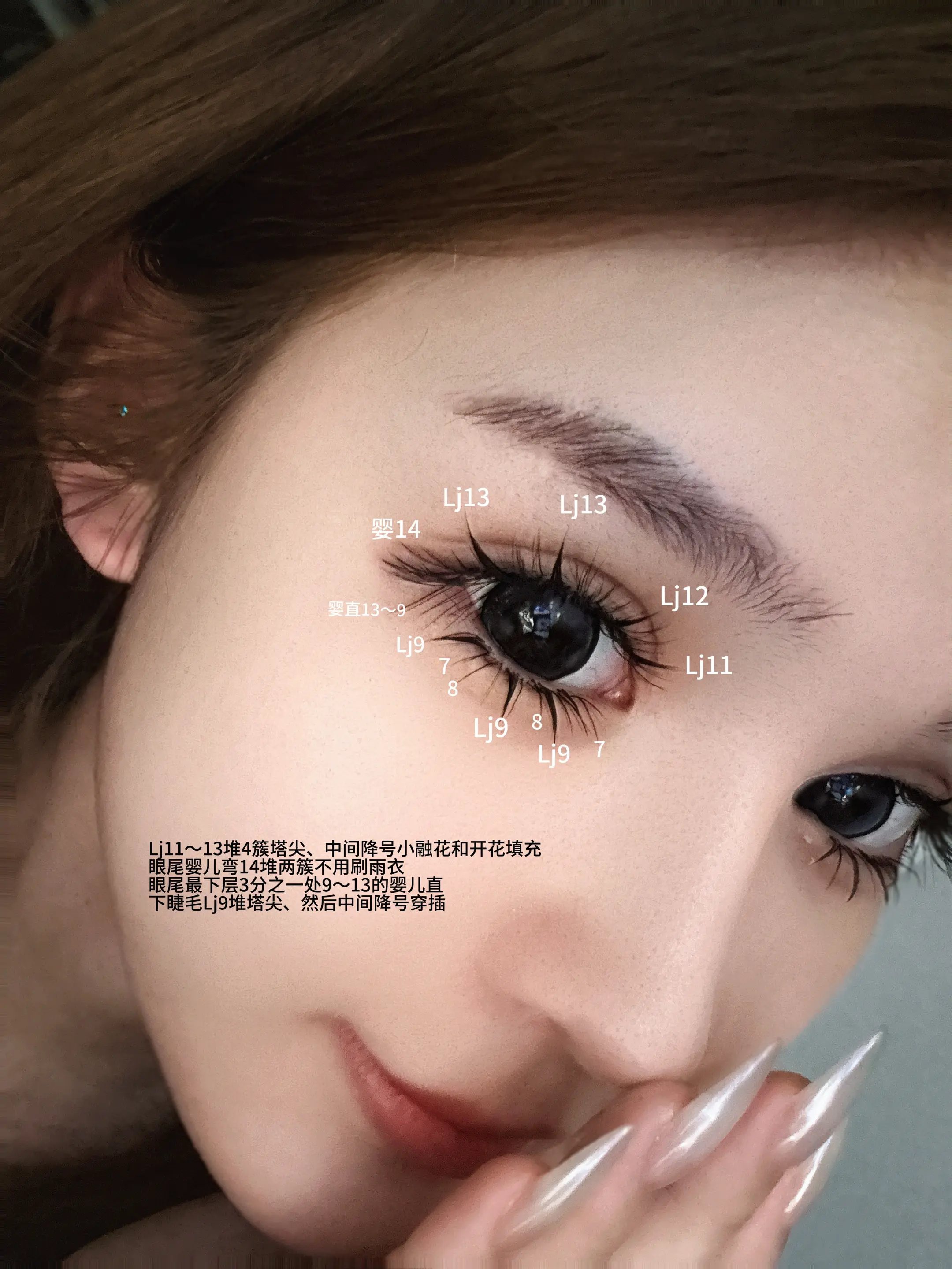 睫毛公式图