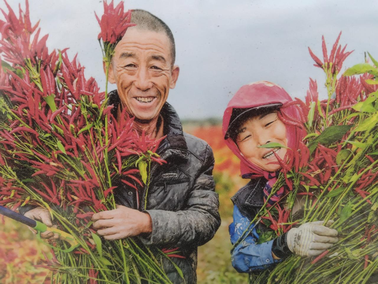 说实话，农民如果不出去打工，只靠家里的那点责任田收入，供孩子上大学都供不起！
