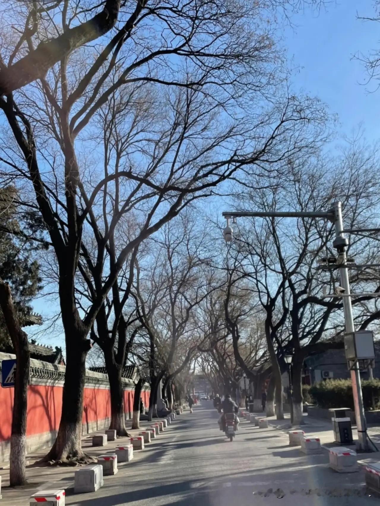 提前通知，上班的朋友们注意了！

明天开始，咱们要迎来长达17天的“极寒模式”。